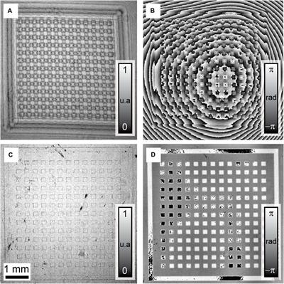 Lensless multi-spectral holographic interferometry for optical inspection